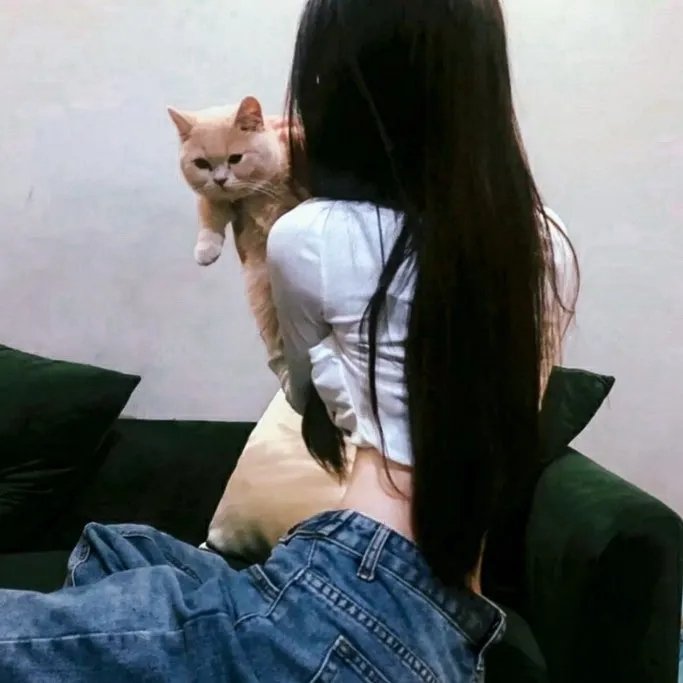 盗贼泰瑞莎